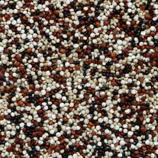Tri-Colour Quinoa — 500 g